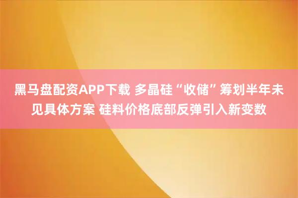 黑马盘配资APP下载 多晶硅“收储”筹划半年未见具体方案 硅料价格底部反弹引入新变数