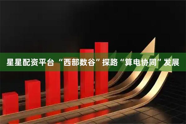 星星配资平台 “西部数谷”探路“算电协同”发展