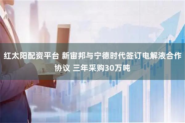 红太阳配资平台 新宙邦与宁德时代签订电解液合作协议 三年采购30万吨